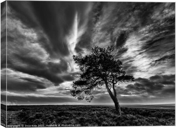 Egton's Lonely Tree Under A Dramatic Sky Canvas Print by Inca Kala