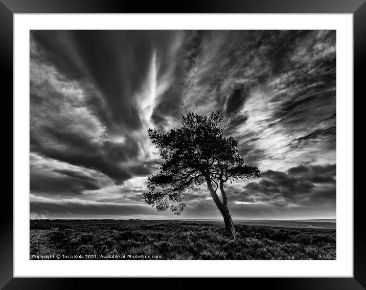 Egton's Lonely Tree Under A Dramatic Sky Framed Mounted Print by Inca Kala