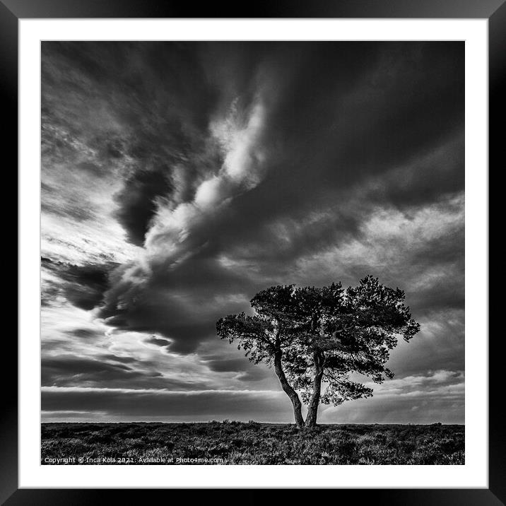 Egton's Lonely Tree Under A Dramatic Sky - Square Series 2 Framed Mounted Print by Inca Kala