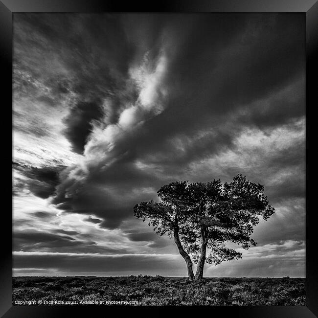 Egton's Lonely Tree Under A Dramatic Sky - Square Series 2 Framed Print by Inca Kala