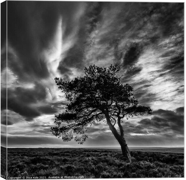 Egton's Lonely Tree Under A Dramatic Sky - Square Series 1 Canvas Print by Inca Kala