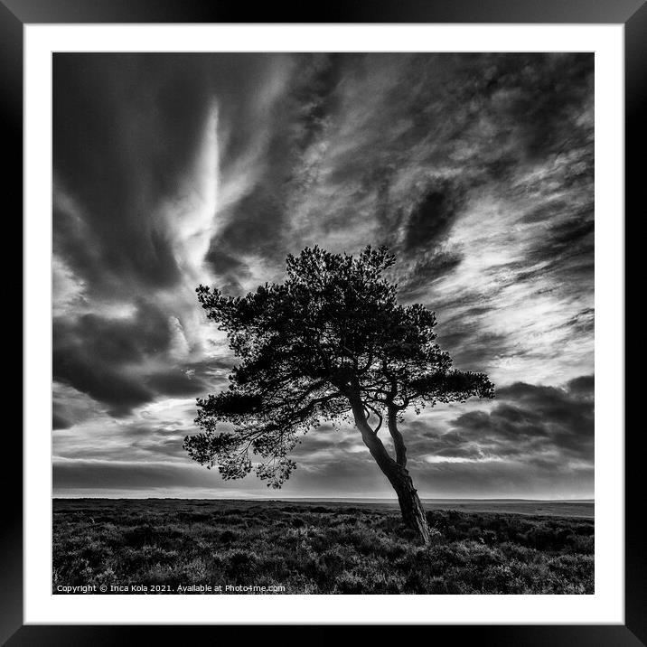 Egton's Lonely Tree Under A Dramatic Sky - Square Series 1 Framed Mounted Print by Inca Kala