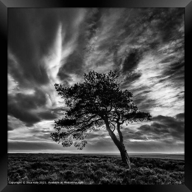 Egton's Lonely Tree Under A Dramatic Sky - Square Series 1 Framed Print by Inca Kala