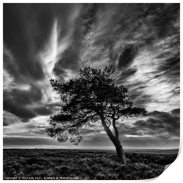 Egton's Lonely Tree Under A Dramatic Sky - Square Series 1 Print by Inca Kala