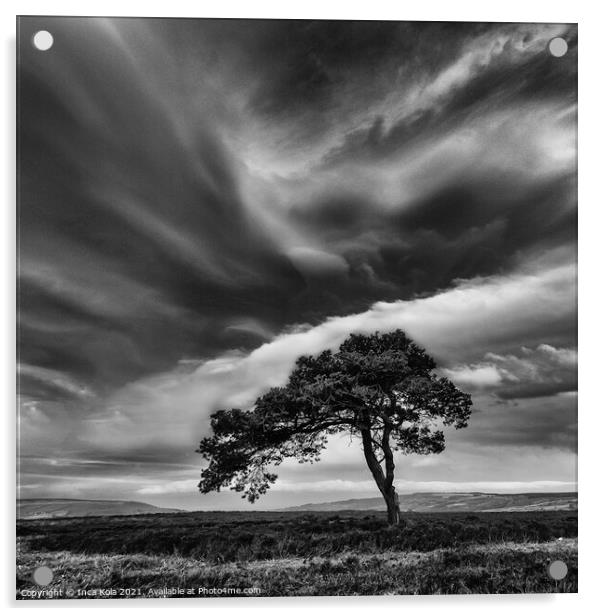 Egton's Lonely Tree Under A Dramatic Sky - Square Series 3 Acrylic by Inca Kala