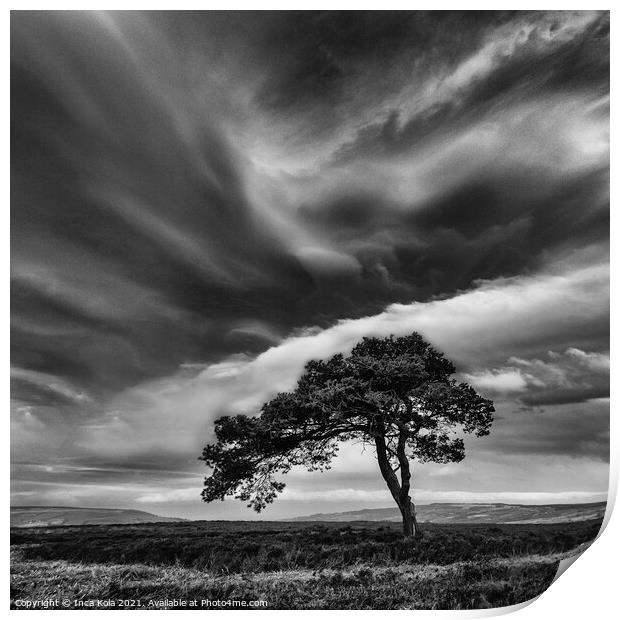 Egton's Lonely Tree Under A Dramatic Sky - Square Series 3 Print by Inca Kala