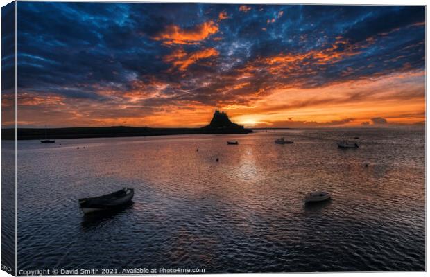 Holy Island and Lindisfarne Castle  Canvas Print by David Smith