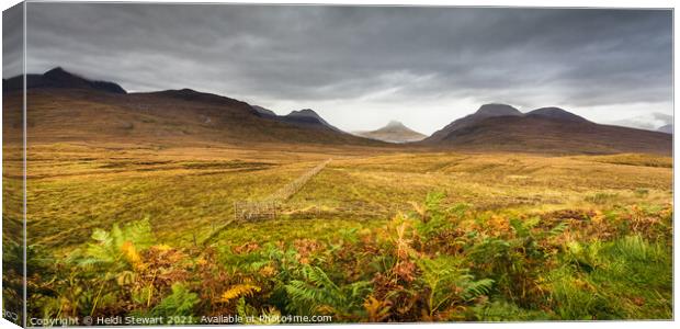 Scottish Mountainscape Canvas Print by Heidi Stewart