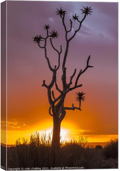 Sunset in Fish River Canyon Namibia Canvas Print by colin chalkley