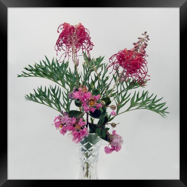 Grevillea and Lantana blooms in a vase. Framed Print by Geoff Childs