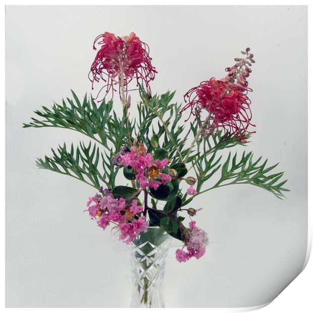 Grevillea and Lantana blooms in a vase. Print by Geoff Childs