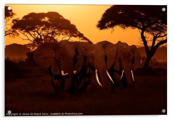Elephants At Sunset Acrylic by Steve de Roeck