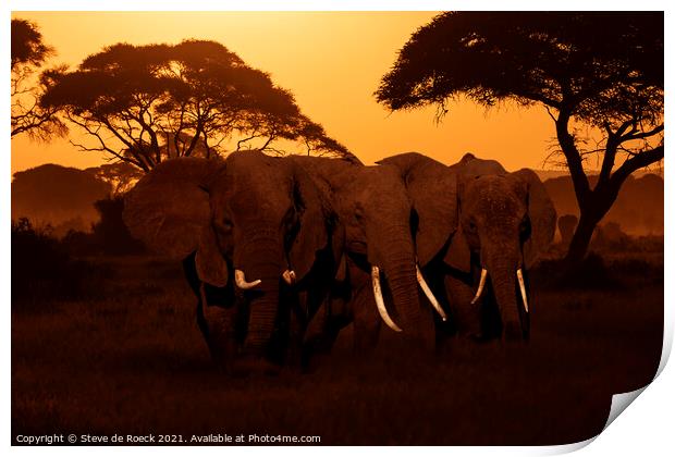 Elephants At Sunset Print by Steve de Roeck