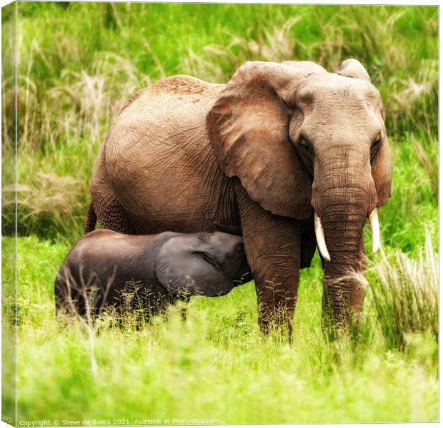 Elephant Mother And Baby Canvas Print by Steve de Roeck