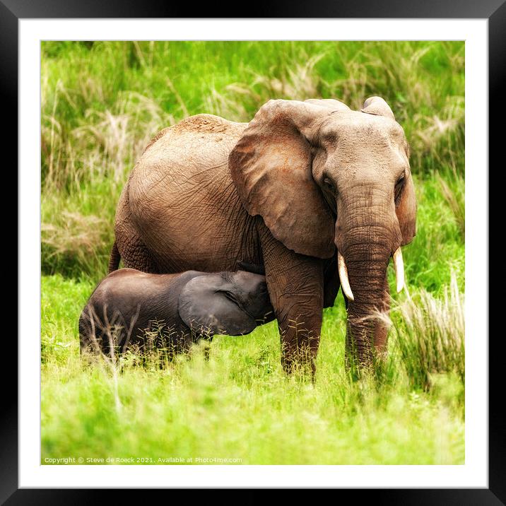 Elephant Mother And Baby Framed Mounted Print by Steve de Roeck
