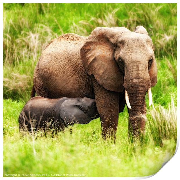 Elephant Mother And Baby Print by Steve de Roeck