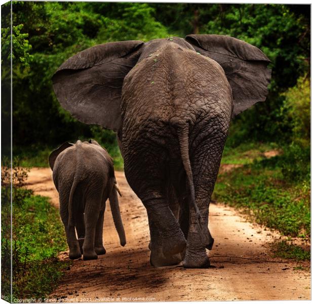 No More Pictures, Thank You; Mother And Baby Elephant Depart Canvas Print by Steve de Roeck