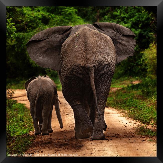 No More Pictures, Thank You; Mother And Baby Elephant Depart Framed Print by Steve de Roeck