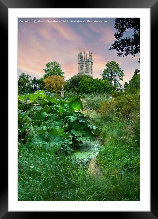 Oxford Magdalen College Framed Mounted Print by Alison Chambers