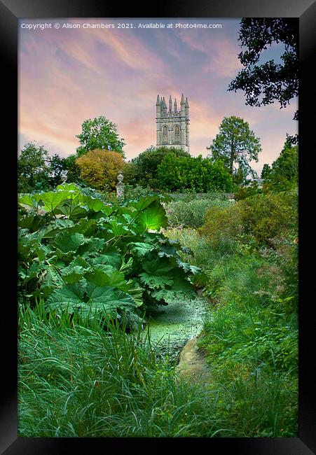 Oxford Magdalen College Framed Print by Alison Chambers