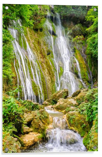 Mele Cascades Waterfalls - Port Vila Acrylic by Laszlo Konya