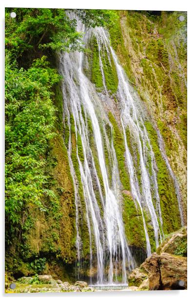 Mele Cascades Waterfalls - Port Vila Acrylic by Laszlo Konya