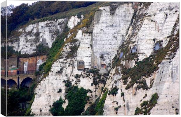 Cliffs of Dover close-up Britian Canvas Print by Pieter Marais