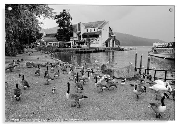 Bowness on Windermere Geese in Monochrome Acrylic by Diana Mower