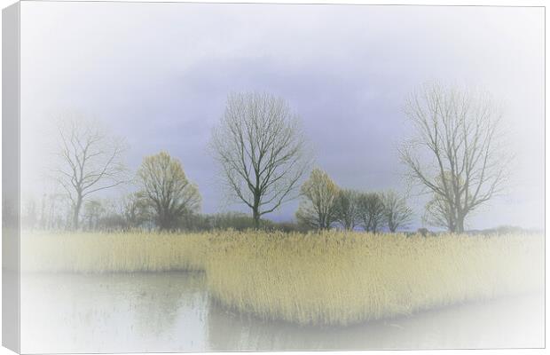 Winter Trees and Reeds 2 (please see my portfolio  Canvas Print by graham young