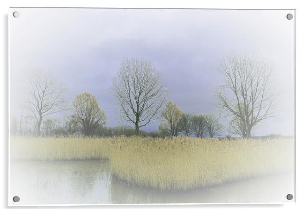 Winter Trees and Reeds 2 (please see my portfolio  Acrylic by graham young