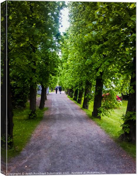  Bergan ,Norway, a long walking path in a park Canvas Print by Anish Punchayil Sukumaran