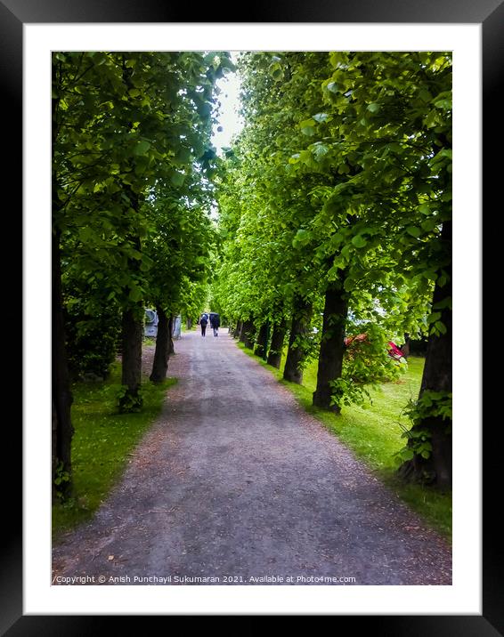  Bergan ,Norway, a long walking path in a park Framed Mounted Print by Anish Punchayil Sukumaran