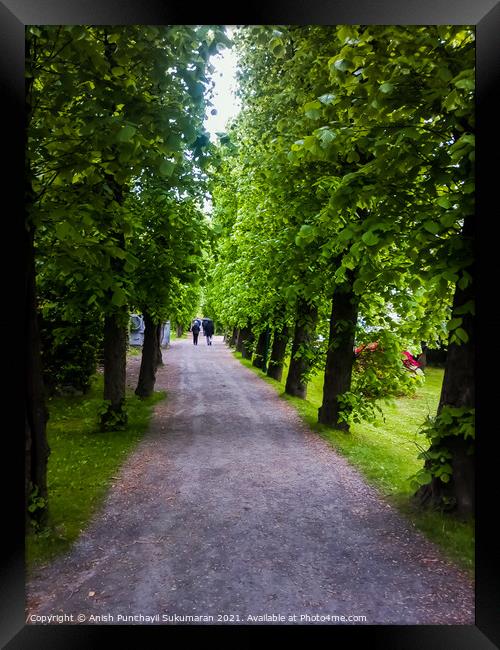  Bergan ,Norway, a long walking path in a park Framed Print by Anish Punchayil Sukumaran