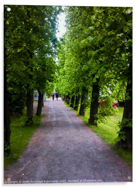  Bergan ,Norway, a long walking path in a park Acrylic by Anish Punchayil Sukumaran