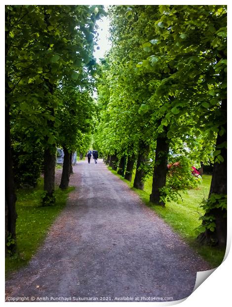  Bergan ,Norway, a long walking path in a park Print by Anish Punchayil Sukumaran