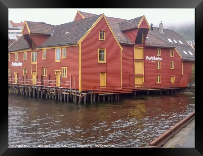 Harbour of Bergan Norway ,beautiful red house near  the pier Framed Print by Anish Punchayil Sukumaran