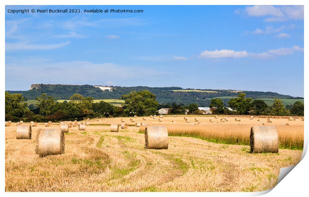 Harvest Time in Yorkshire Countryside Print by Pearl Bucknall