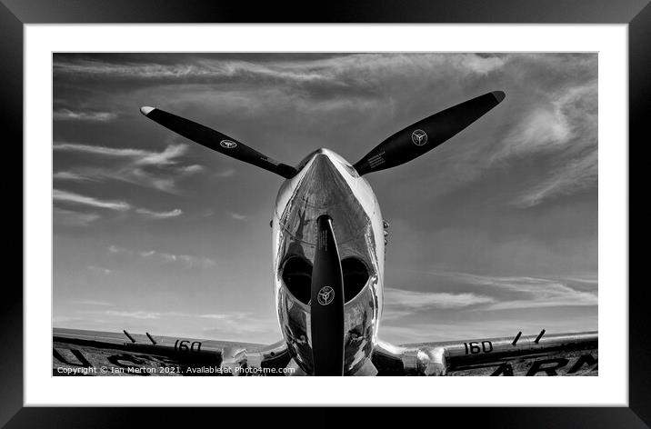 P-40 Warhawk Framed Mounted Print by Ian Merton