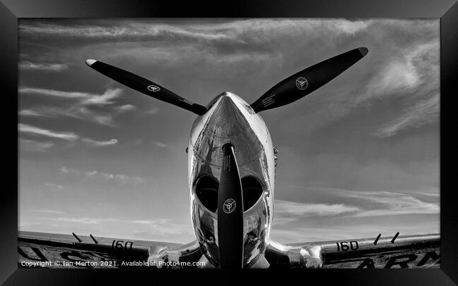 P-40 Warhawk Framed Print by Ian Merton