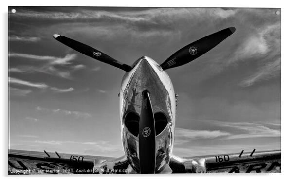 P-40 Warhawk Acrylic by Ian Merton