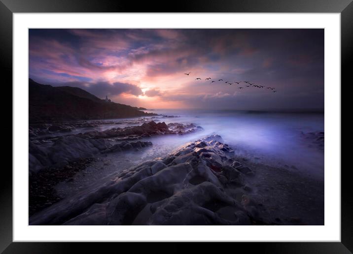 Taking flight over Bracelet Bay Framed Mounted Print by Leighton Collins