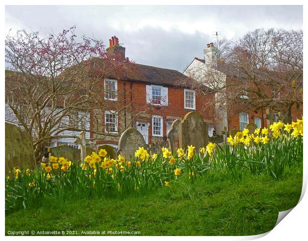 Spring time on Church Hill Hythe Kent  Print by Antoinette B