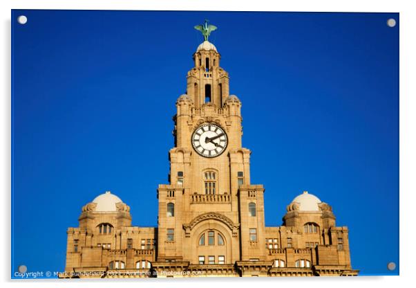 Royal Liver Building Liverpool Acrylic by Mark Sunderland