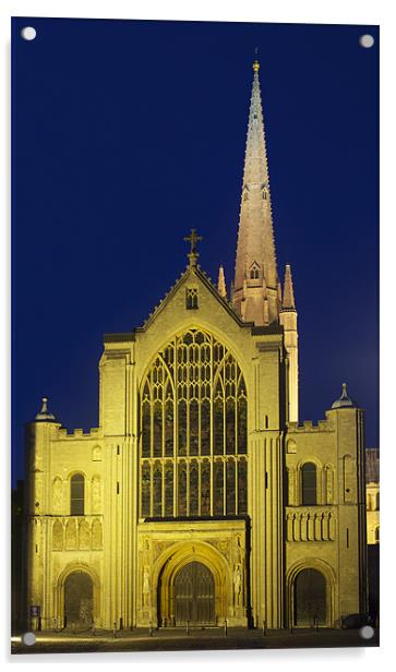 Norwich Cathedral at night Acrylic by Francesca Shearcroft
