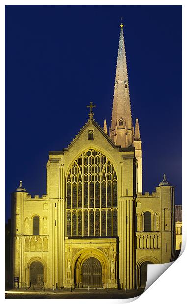 Norwich Cathedral at night Print by Francesca Shearcroft