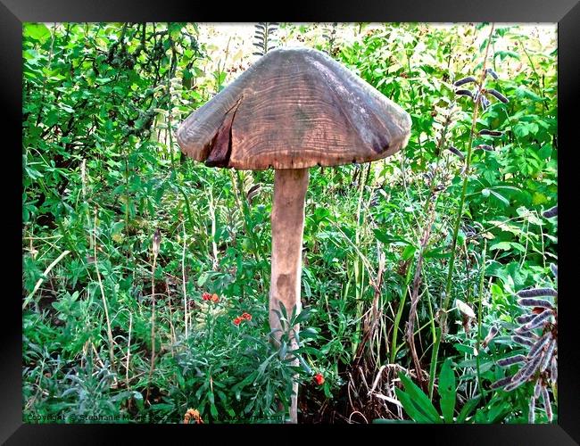 Carved wooden toadstool Framed Print by Stephanie Moore