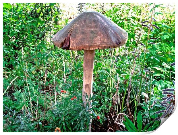 Carved wooden toadstool Print by Stephanie Moore