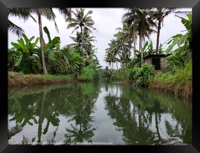 clam river and coconut trees on both side Framed Print by Anish Punchayil Sukumaran