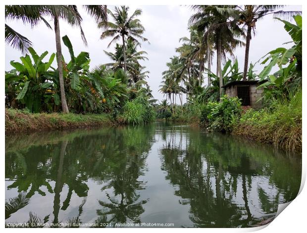 clam river and coconut trees on both side Print by Anish Punchayil Sukumaran