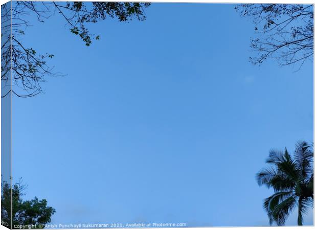 blue sky and tree on each corners,  Canvas Print by Anish Punchayil Sukumaran